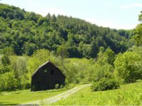 6603 Dunham Hill