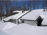 727 Woods Lane - G2 Woods