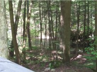 2813 Furnace Brook Road