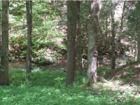 2813 Furnace Brook Road