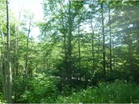 1457 Old Turnpike Rd.