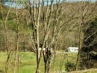2590 South Road