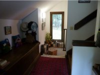 252 Forest Lane Great Hawk