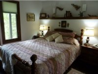 252 Forest Lane Great Hawk