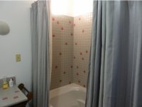 252 Forest Lane Great Hawk