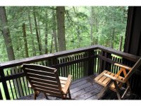 252 Forest Lane Great Hawk