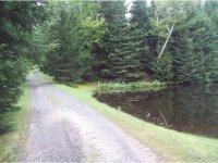 539 Richardson Road