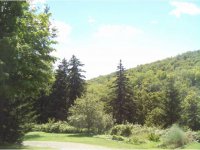 539 Richardson Road
