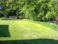12 Evergreen Avenue