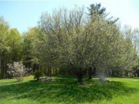 16 Stoney Field Road