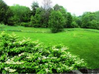 64 Town Farm Road