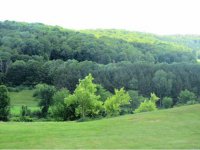 64 Town Farm Road