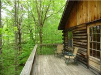 1167 Curtis Hollow