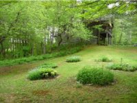 1167 Curtis Hollow