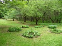 1167 Curtis Hollow