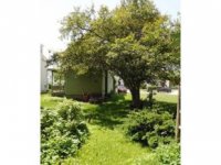 46 cleveland avenue