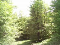 324 Little Sherburne Road