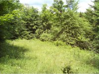 324 Little Sherburne Road