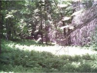 324 Little Sherburne Road
