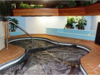 257 Old Mill Road Pinnacle