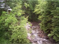 54 Dailey Hollow Road