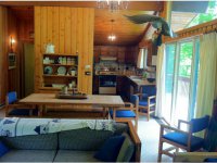 64 Alpine Terrace Pico Village