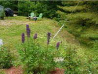 1138 Bethel Mtn Road