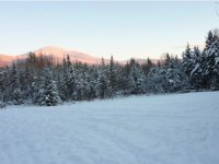 429 BLACK BEAR PATH