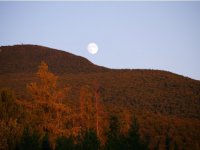 429 BLACK BEAR PATH