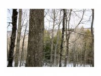 366 Crimson Hawk Road