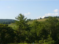 44 Valley View Road
