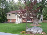62 David Road