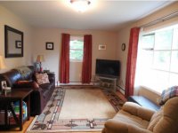 62 David Road