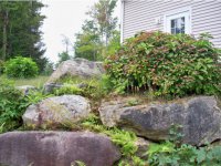 88 Powerhouse Road