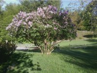 845 Meadowlake Drive