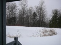 208 Woods Lane - B3 Woods