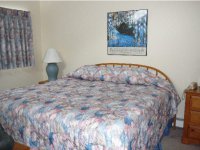 208 Woods Lane - B3 Woods