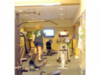 208 Woods Lane - B3 Woods