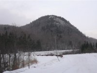 42 Brad Mead Drive - I202 Pico Slopeside