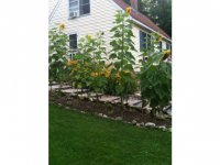142 Holden Road