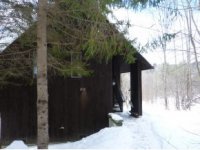 112 Forest