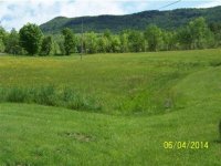 2781 North Hollow