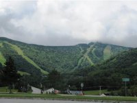 A11 Mountain Green