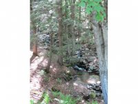 44 Campground Road