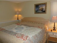 42 Brad Mead Drive Slopeside at Pico