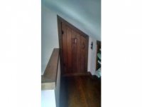 127 One Way Timber Hawk