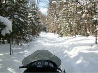 127 One Way Timber Hawk