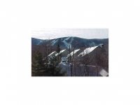 695 EAST MTN RD (Whif F8) WHIFFLETREE