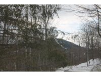 254 Alpine Drive
