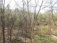 62C Silver Birch Place